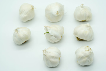 Fototapeta premium pattern of garlic on white background