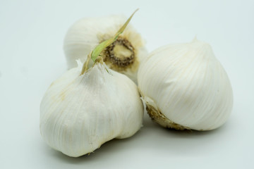 fresh garlic on white background