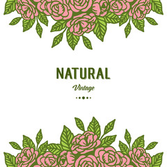 Vector illustration crowd frame flower rose bloom with shape natural vintage