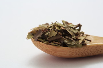 Image of Lemon Myrtle