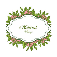 Vector illustration decorative of natural vintage with ornate of leaf rose flowers frames