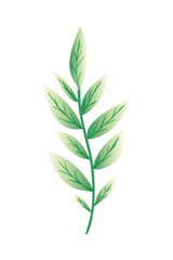 branch with leaf isolated icon