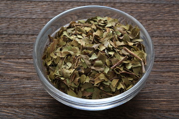 Image of Lemon Myrtle