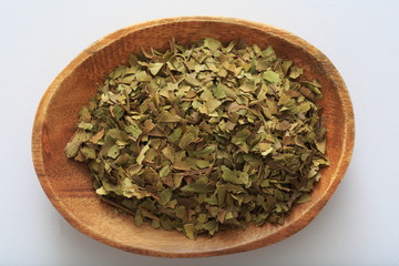 Image of Lemon Myrtle