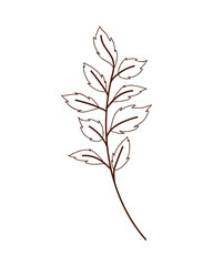 branch with leaf isolated icon