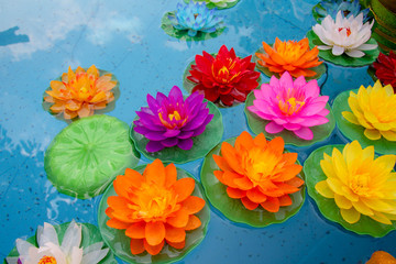 Obraz premium Lotus flowers floating in the pond