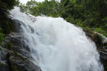 waterfall in nature forest, beautiful landscape