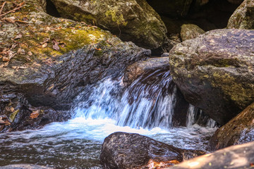 Dieses einzigartige Foto zeigt den wilden Dschungelwasserfall und die atemberaubende Natur, die...