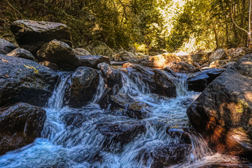 Dieses einzigartige Foto zeigt den wilden Dschungelwasserfall und die atemberaubende Natur, die...