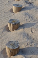 On the beach, pile against erosion (pieux contre l'érosion)