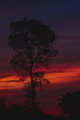 Fototapeta na wymiar colourful sunset