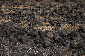 just rocks and arid place