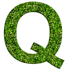 Alphabet letter Q made of green grass and clovers. Letter isolated on white background