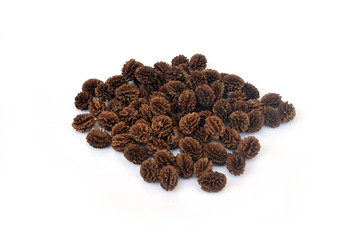 Papaya seeds on white background.