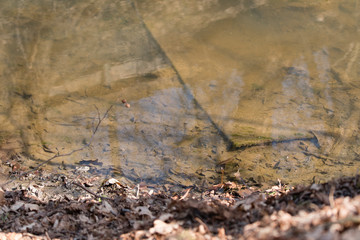 Wasted rubberized belt in water.