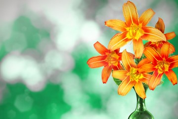 Beautiful live lily bouquet bouquet in ceramic vase with blank place for your text on left on nature leaves and branches bokeh background.