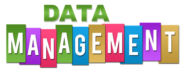 Data Management Professional Colorful 