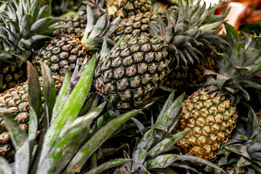 Ripe pineapples. Outdoor food market. Juicy tropical fruits. Healthy organic food. Bali island.