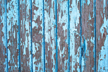 Obraz premium Old wooden wall with old cracked paint blue colour