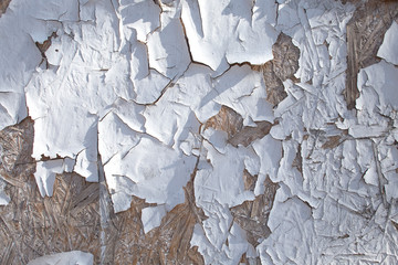 Cracked white paint, plaster surface on wooden wall