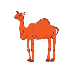 Camel Wild Exotic African Animal Vector Illustration