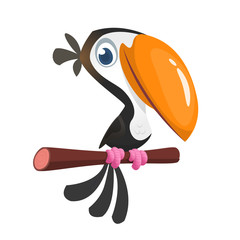 Funny toucan cartoon. Vector toucan bird sitting on the branch. Illustration isolated © drawkman
