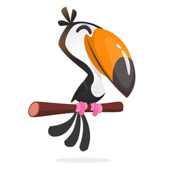 Funny toucan cartoon. Vector toucan bird sitting on the branch. Illustration isolated © drawkman