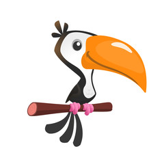 Cartoon happy bird toucan. Illustration isolated © drawkman