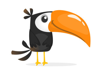Funny toucan cartoon. Vector bird illustration © drawkman
