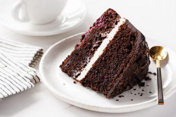 Chocolate cake with cream slice on white plate. Dark chocolate cake