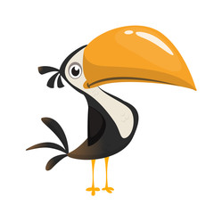 Toucan cartoon. Vector icon of toucan bird. Exotic colorful bird illustration © drawkman