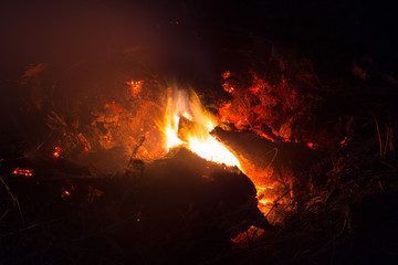 Bright sparkling coals with fire as background