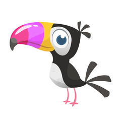 Toucan cartoon. Vector icon of toucan bird. Exotic colorful bird illustration © drawkman