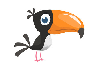 Toucan cartoon. Vector icon of toucan bird. Exotic colorful bird illustration © drawkman