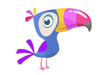 Toucan cartoon. Vector icon of toucan bird. Exotic colorful bird illustration © drawkman