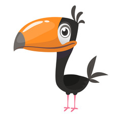 Toucan cartoon. Vector icon of toucan bird. Exotic colorful bird illustration © drawkman