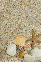 Fototapeta na wymiar vertical summer concept background with starfish and seashells on beach sand
