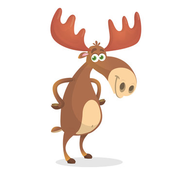 Funny carton moose. Vector illustration isolated