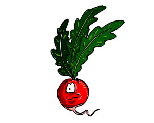 Radish cartoon vector - with empty outline layer