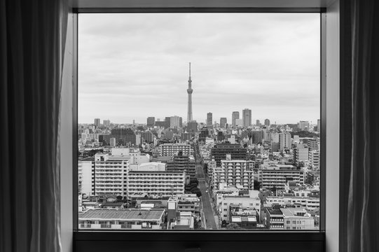 Monotone , Aerial photography of Tokyo Skytree . Tokyo, Japan  
