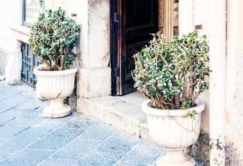 Plant in clay pot on the historic street of Taormina, Sicily, Italy, traditional architecture.