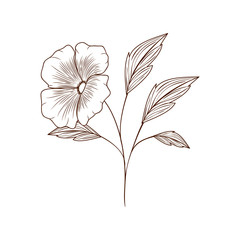 Fototapeta premium beautiful flowers with leafs isolated icon