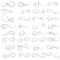 vector illustration set of border calligraphic and dividers decorative, calligraphic swirl