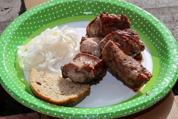 Hiking still-life: pickled onion, bread and  barbecue on paper plate.