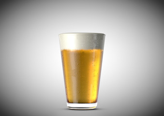 Beer Pint