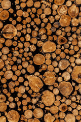 Baumstämme auf einem Holzlagerplatz