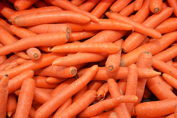 bunch of carrots and background