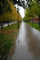 Paisajes en la naturaleza