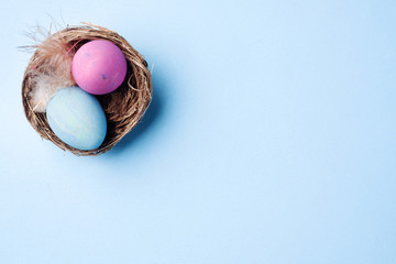 Colorful easter egg in the nest on blue background with copy space. Easter background. Minimalism