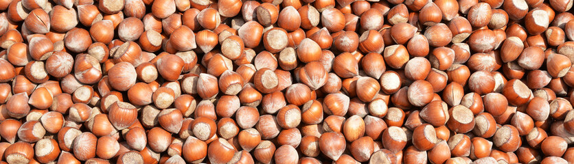 nuts and background
